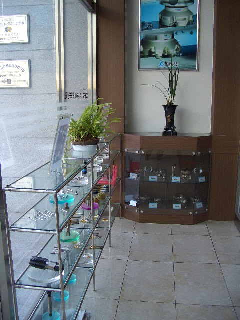 100201_tokpoyh201048.JPG