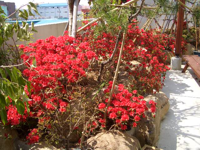 100201_tokpoyh201307.JPG