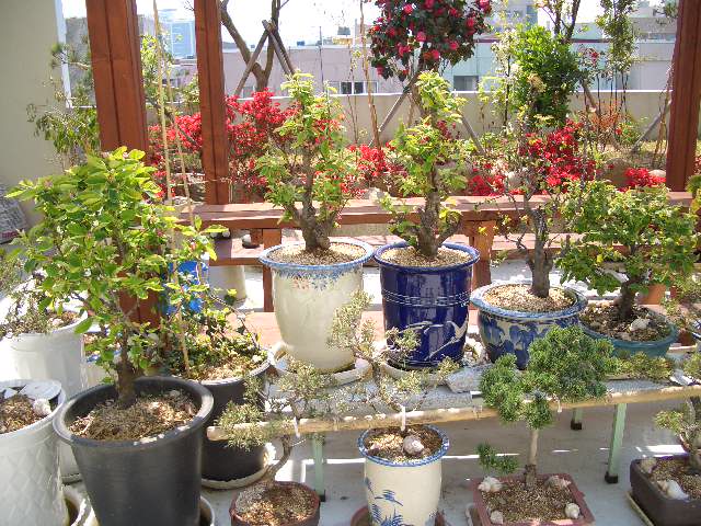 100201_tokpoyh201318.JPG