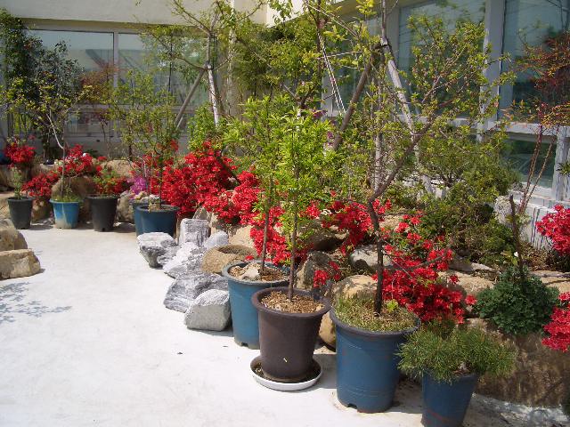 100201_tokpoyh201327.JPG