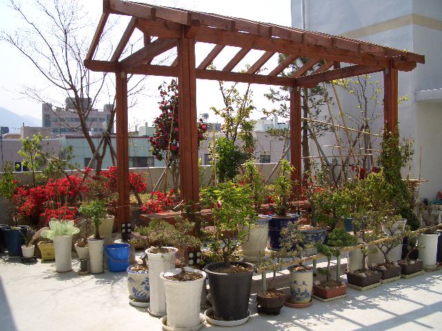 100201_tokpoyh201336.JPG