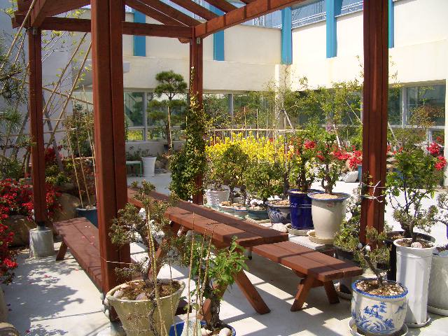 100201_tokpoyh201402.JPG