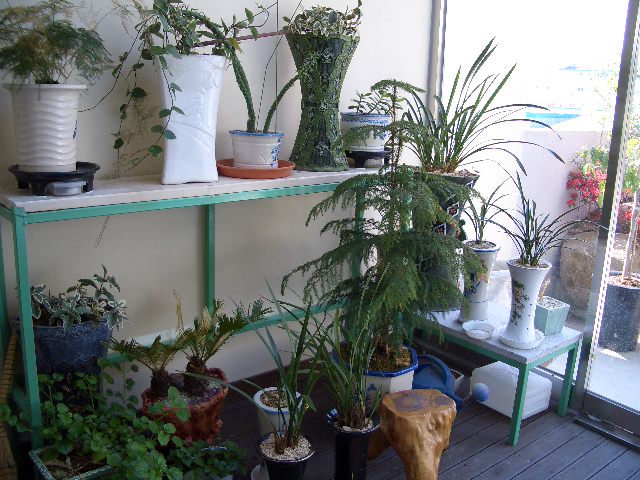 100201_tokpoyh201412.JPG