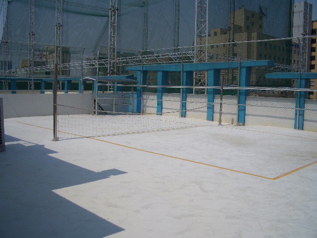 100201_tokpoyh201424.JPG
